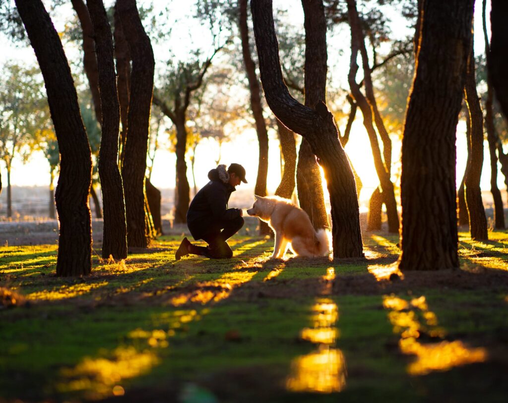 Les plus beaux parcs de Paris où les chiens sont les bienvenus